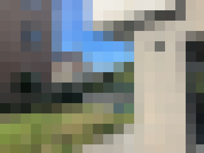 Image 23