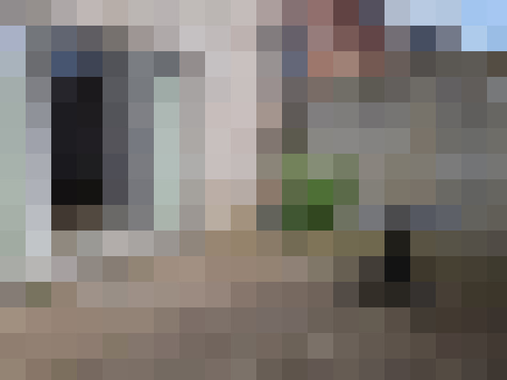 Image 17