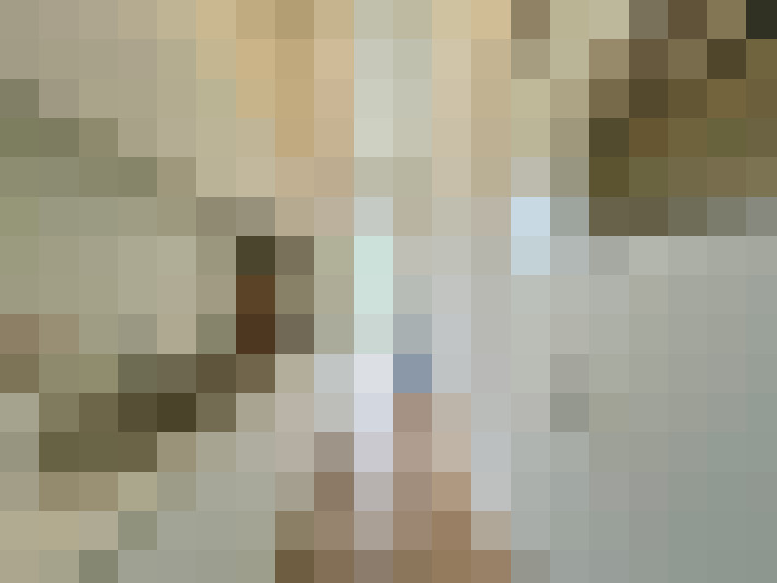 Image 14