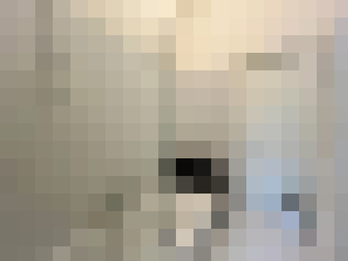 Image 25
