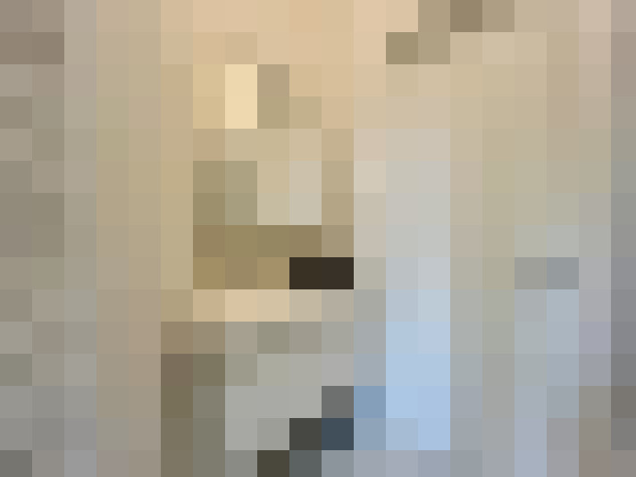 Image 23