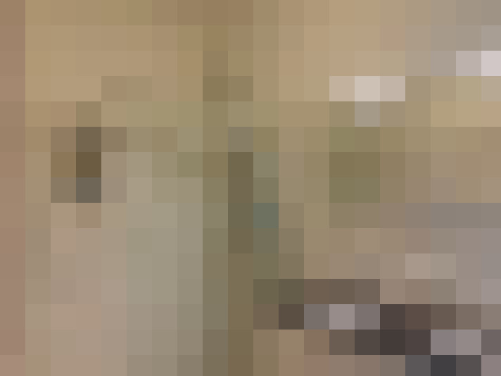 Image 31