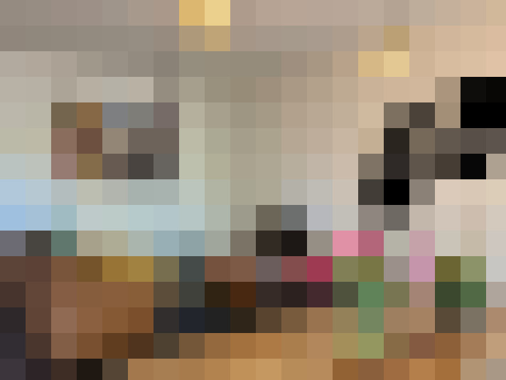 Image 22