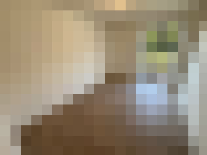 Image 20