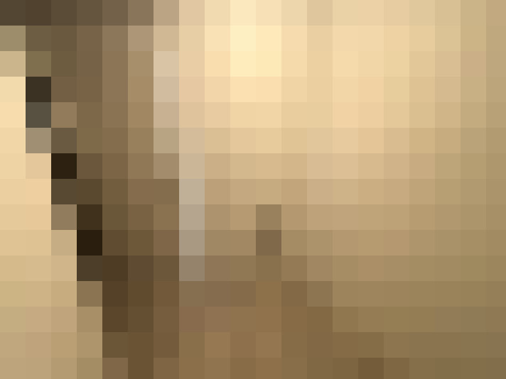 Image 31