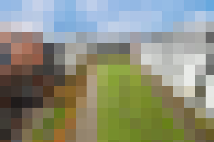 Image 31