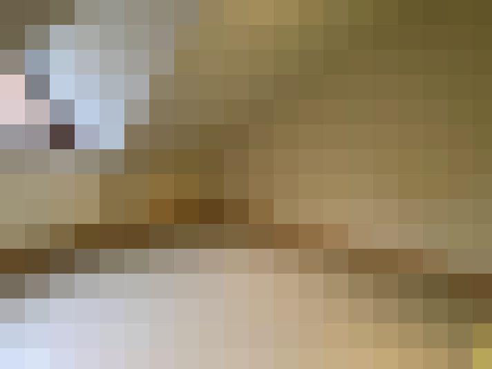 Image 17
