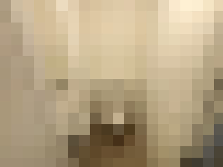 Image 13