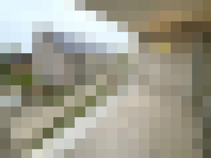 Image 14