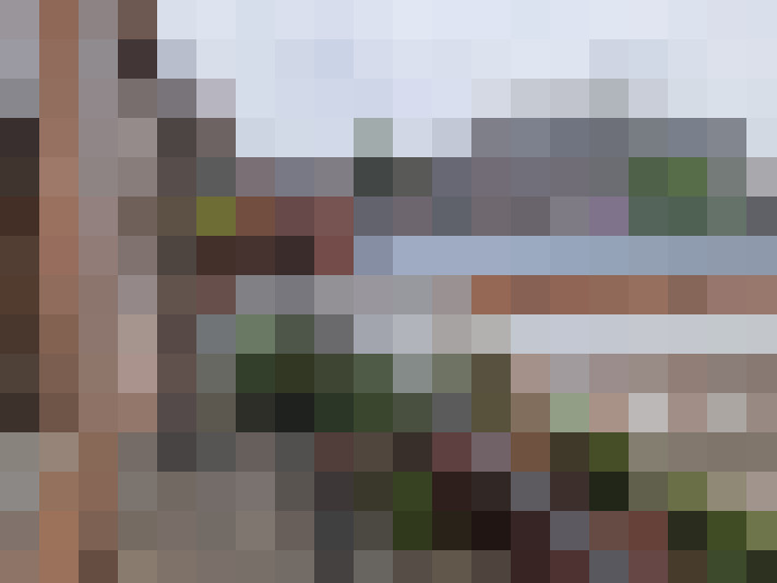 Image 16
