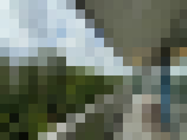 Image 22