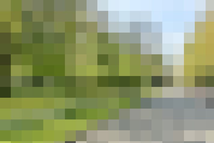 Image 26