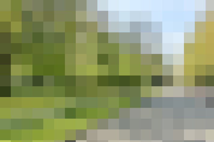 Image 28