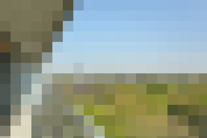 Image 22