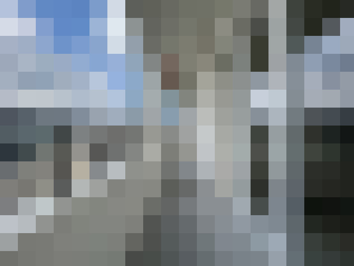 Image 14
