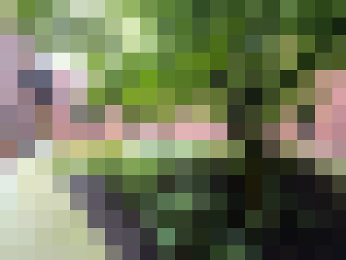 Image 14