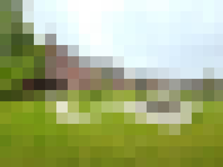 Image 15