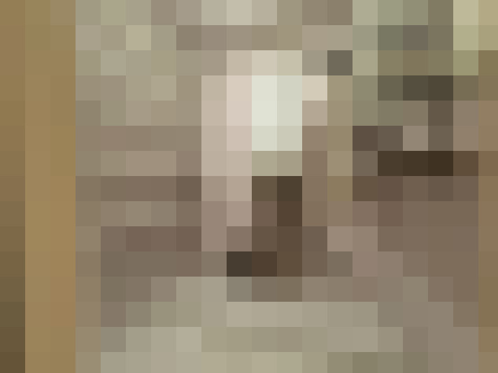 Image 13