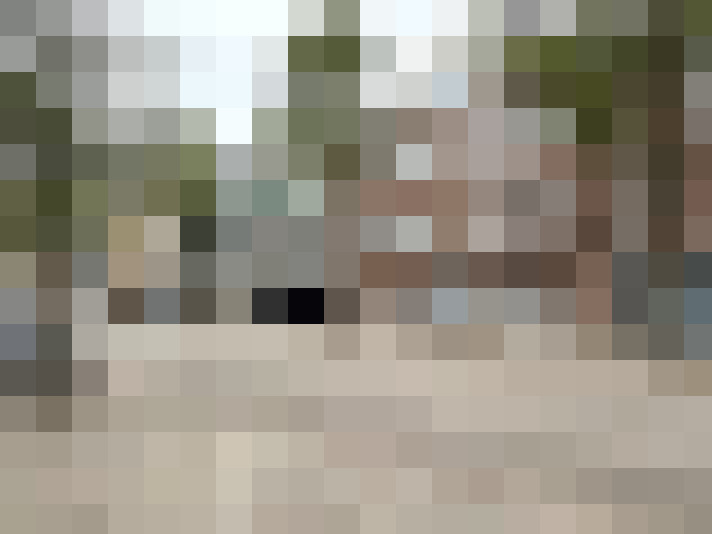 Image 14