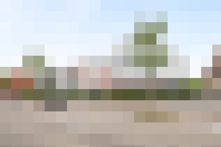 Image 14