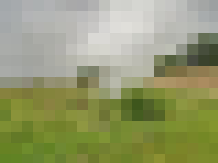 Image 14