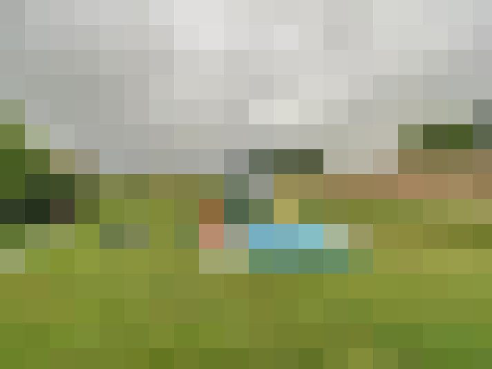 Image 13