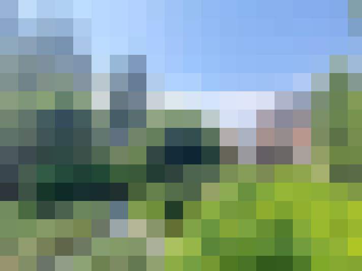 Image 29