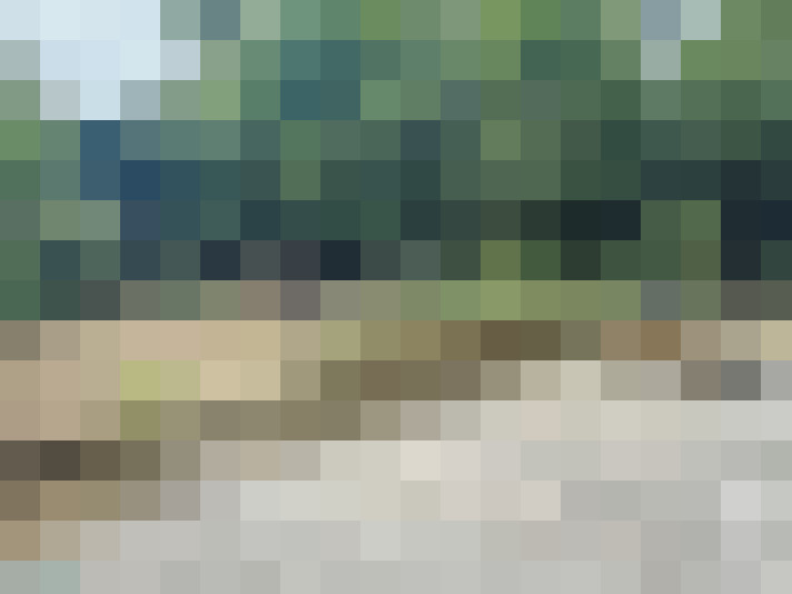 Image 13