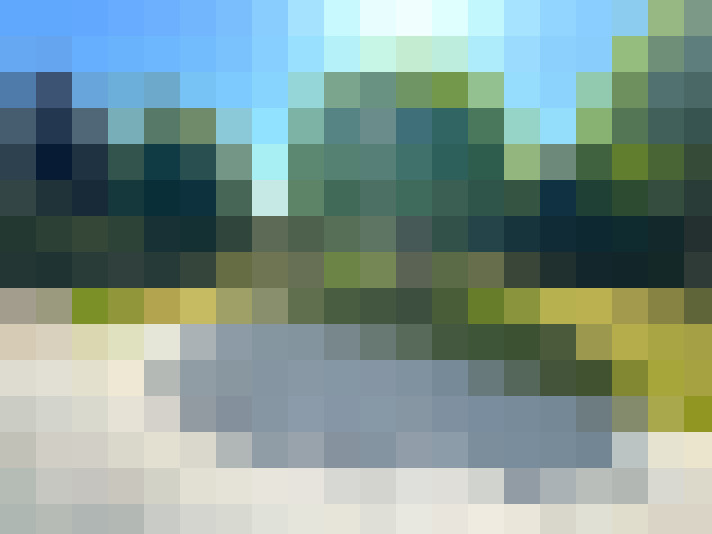 Image 13