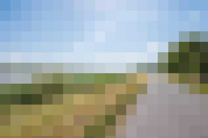 Image 20
