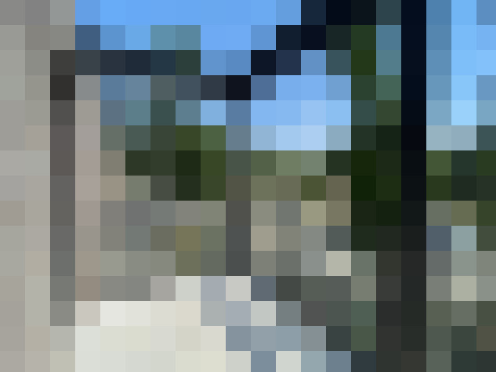 Image 13