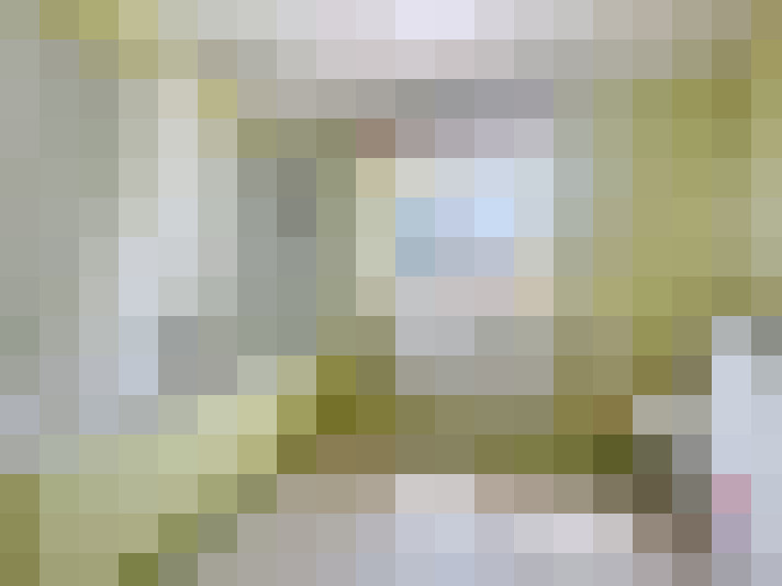 Image 14