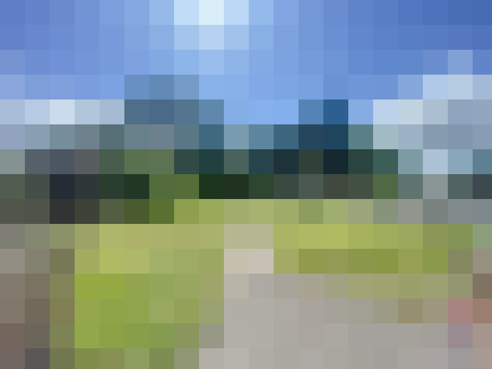 Image 17