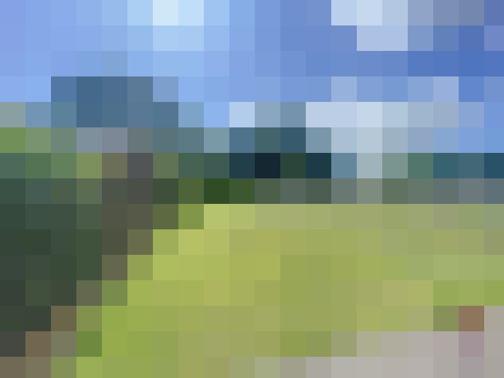 Image 20
