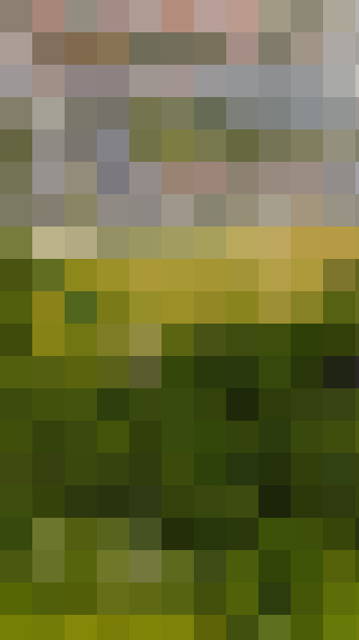 Image 25