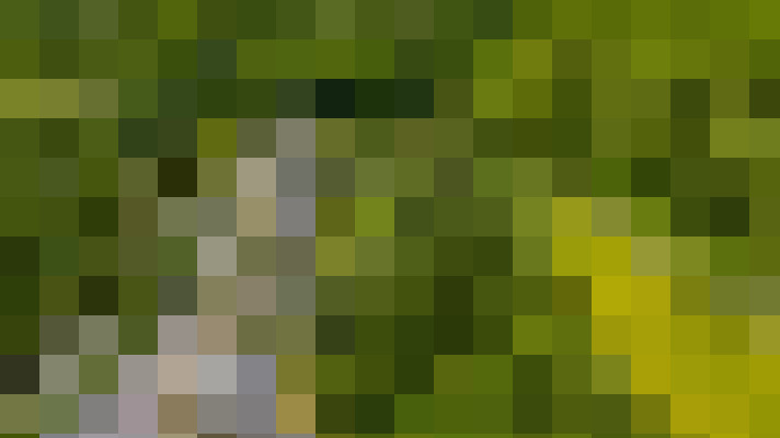 Image 27