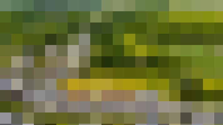 Image 24