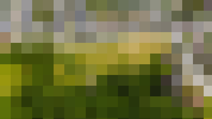 Image 26