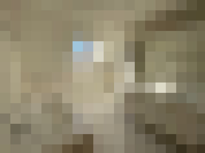 Image 23