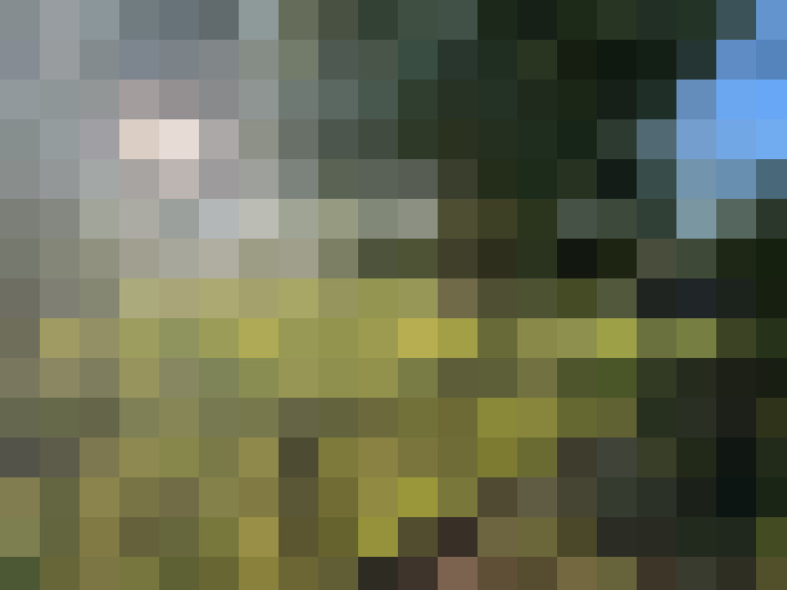 Image 29