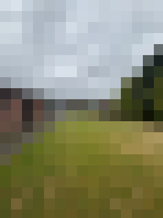 Image 20