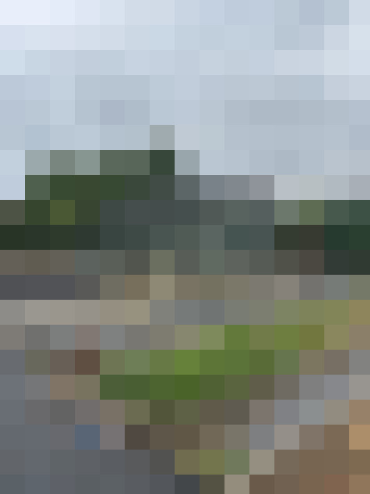 Image 26