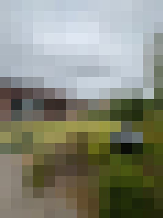 Image 25