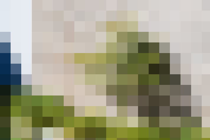 Image 15