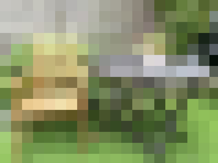 Image 14