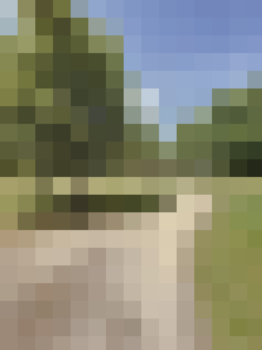 Image 26