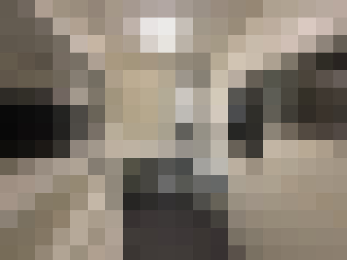 Image 13