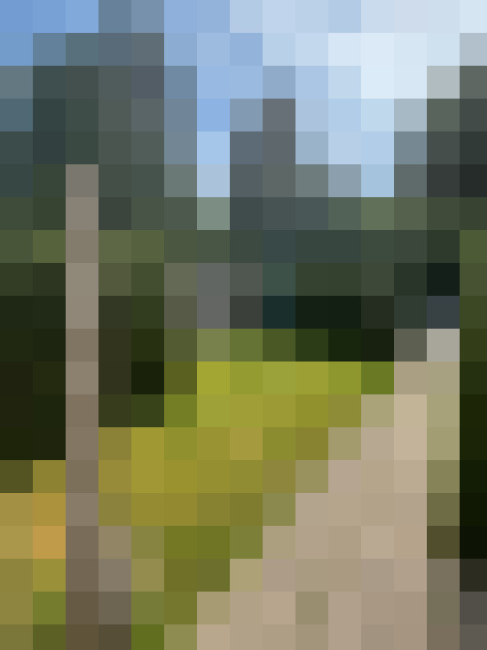 Image 15