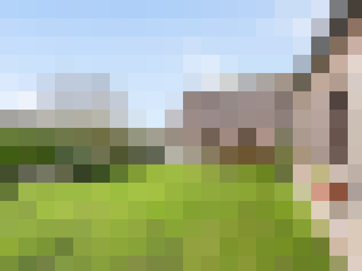 Image 23