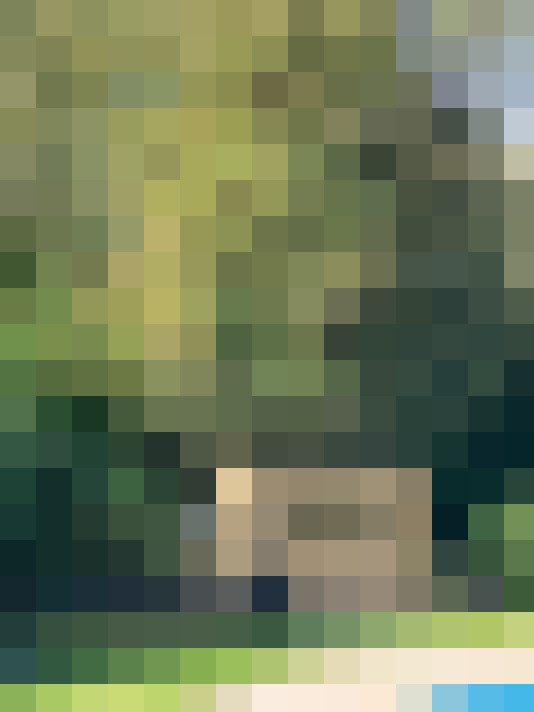 Image 18